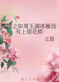 (上错花轿嫁对郎同人)嫁缘之如果玉湖冰雁没有上错花轿