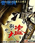 电影大盗