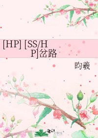 [HP] [SS/HP]岔路
